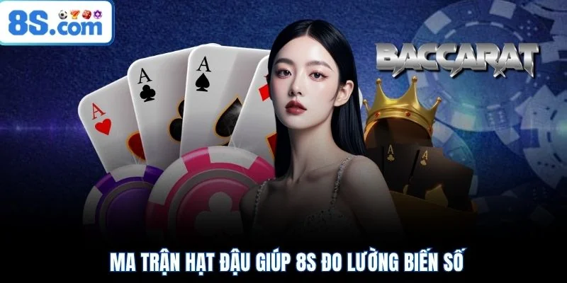 Ma trận hạt đậu giúp 8S đo lường biến số
